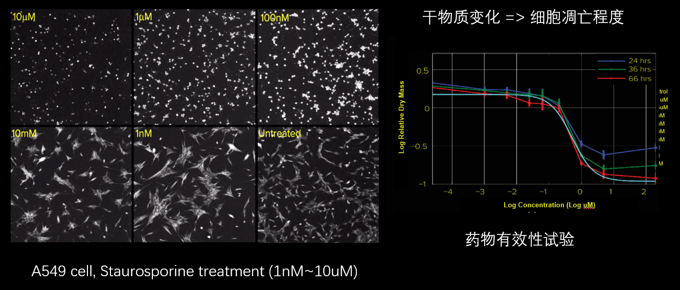 5、細胞毒性分析.png